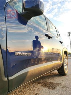 جيب رينيجيد